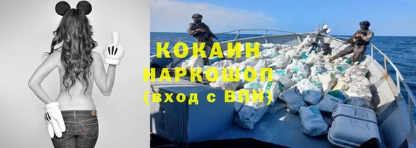 гидра Лагань