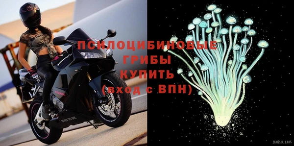 спиды Лабытнанги