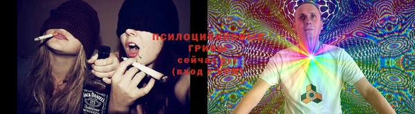 МДПВ Ладушкин